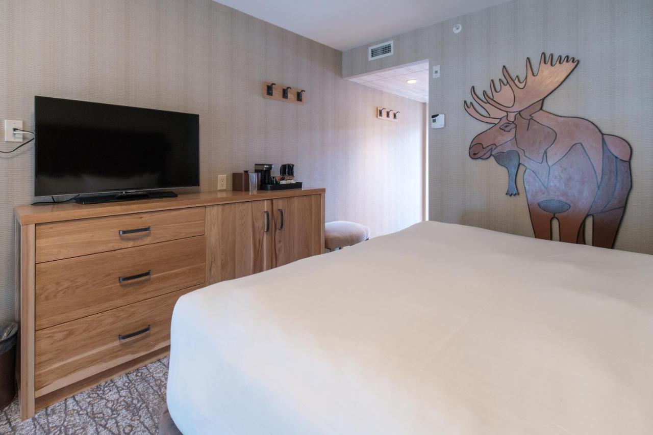 Moose Hotel And Suites Banff Zewnętrze zdjęcie